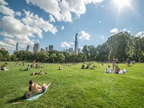 Summer Heat. Prospect Park. NYC. Brooklyn.